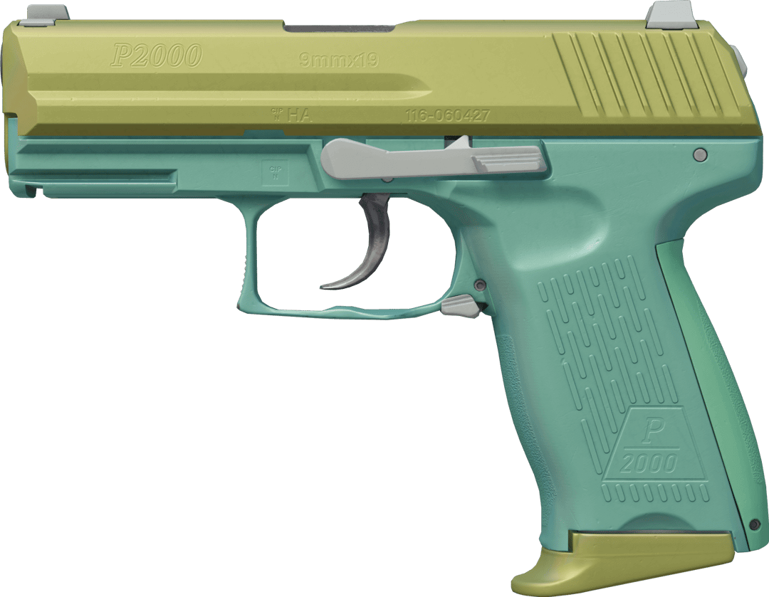 P2000 | 沼泽预览