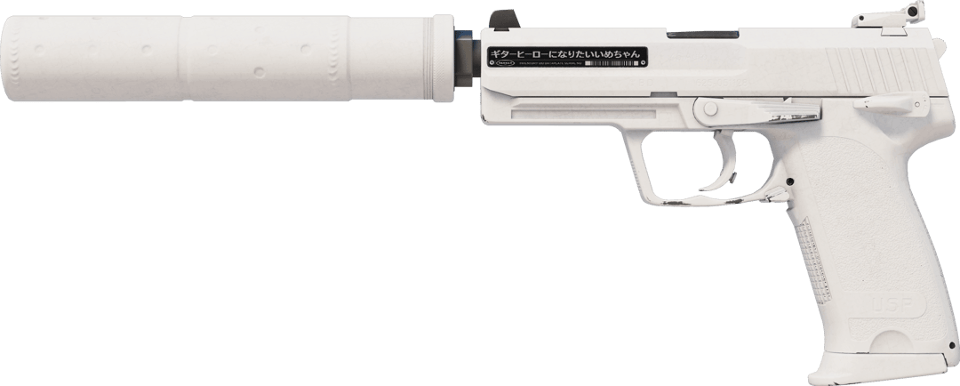 USP-S | Whiteout（轻微磨损）