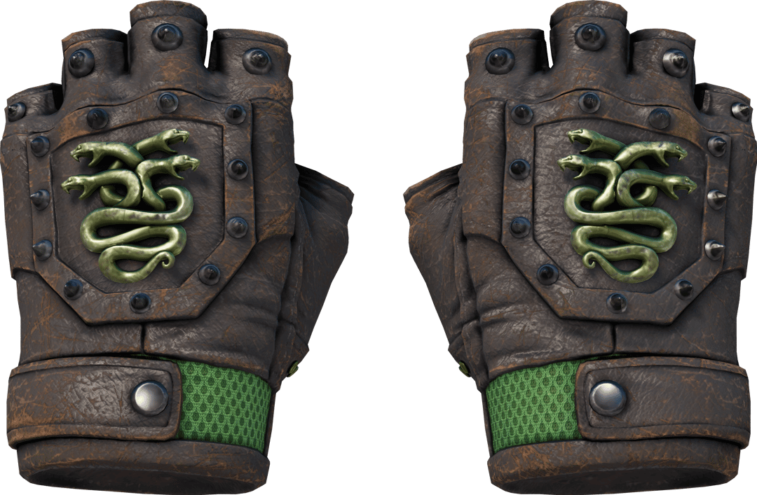 ★ Hydra Gloves | Emerald (Well-Worn)