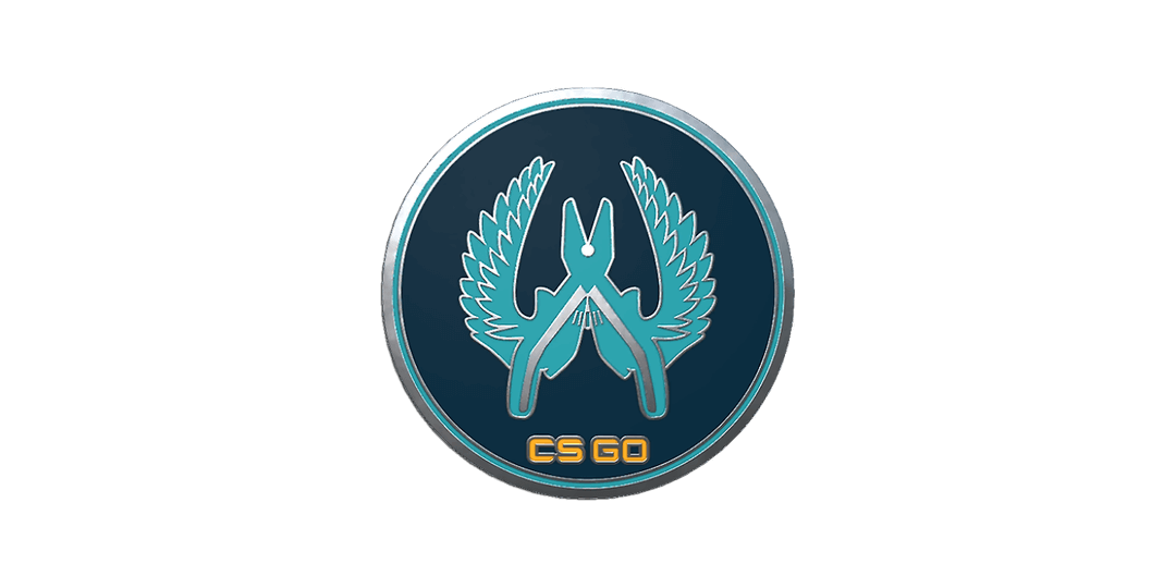 Guardian Pin
