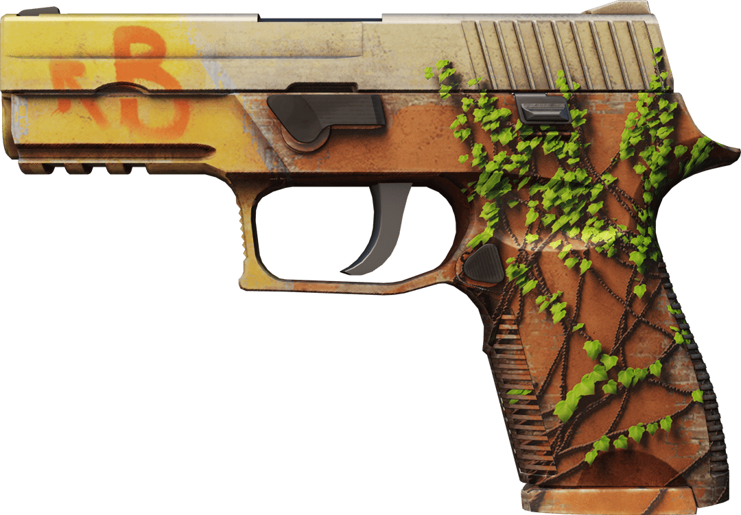 P250 | 炼狱 (崭新出厂)
