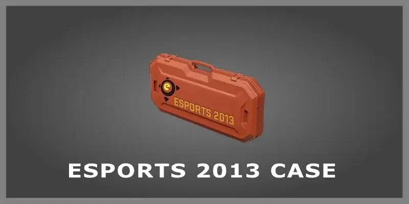 eSports 2013 Case