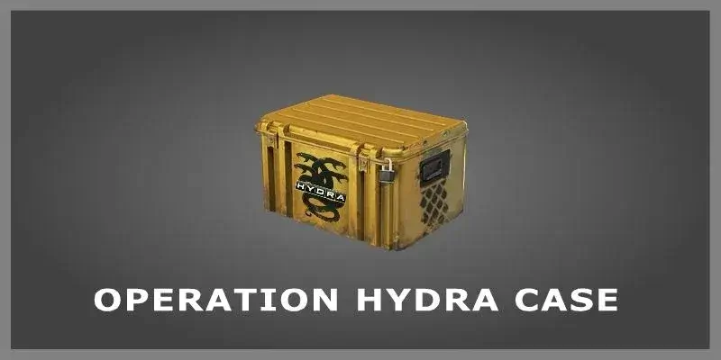 Operation Hydra Case